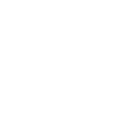icon-white